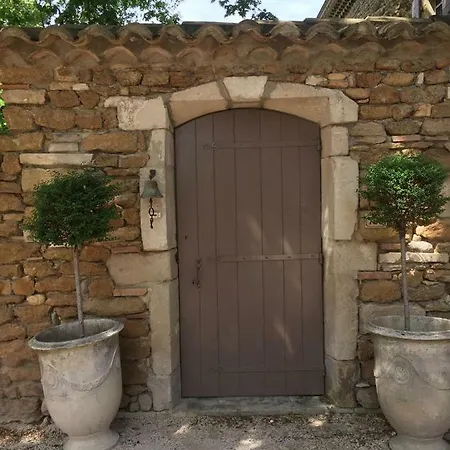 Le Ciste