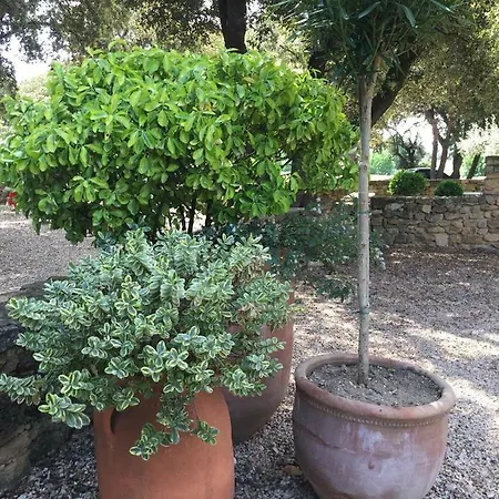 Le Ciste Holiday home Suze-la-Rousse